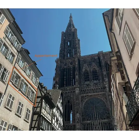 公寓 Carre Or Au Pied De La Cathedrale 斯特拉斯堡